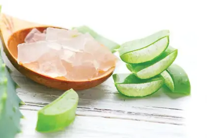 Aloe-690x460-1